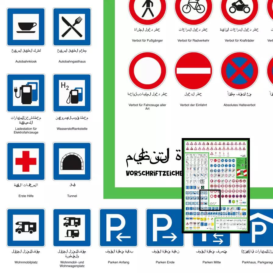 Lern Frosch® Verkehrszeichen Lernposter | Die Wichtigsten Verkehrszeichen für den Führerschein | mit arabischer Übersetzung